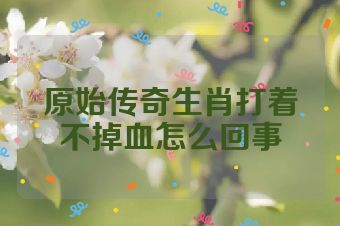 原始传奇生肖打着不掉血怎么回事