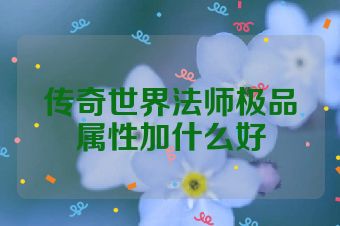 传奇世界法师极品属性加什么好