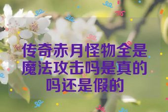 传奇赤月怪物全是魔法攻击吗是真的吗还是假的