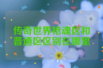 传奇世界枪魂区和普通区区别在哪里