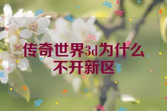 传奇世界3d为什么不开新区