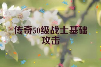 传奇50级战士基础攻击