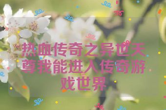 热血传奇之异世天尊我能进入传奇游戏世界
