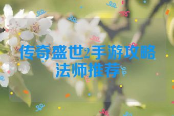 传奇盛世2手游攻略法师推荐