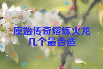 原始传奇熔炼火龙几个最合适