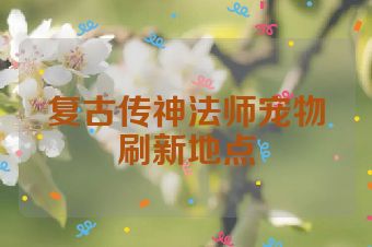 复古传神法师宠物刷新地点