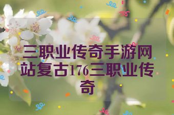 三职业传奇手游网站复古176三职业传奇