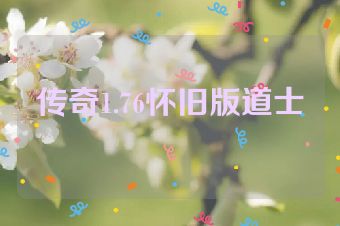 传奇1.76怀旧版道士