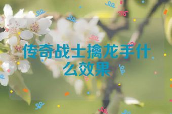 传奇战士擒龙手什么效果