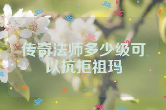 传奇法师多少级可以抗拒祖玛