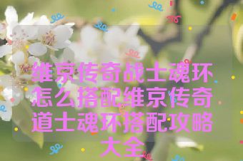 维京传奇战士魂环怎么搭配维京传奇道士魂环搭配攻略大全