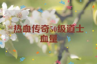 热血传奇50级道士血量