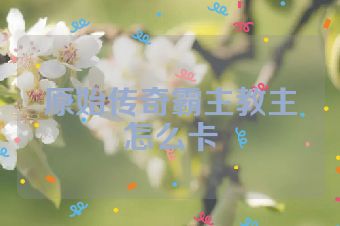 原始传奇霸主教主怎么卡