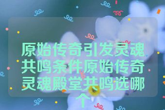 原始传奇引发灵魂共鸣条件原始传奇灵魂殿堂共鸣选哪个