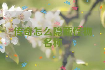 传奇怎么隐藏怪物名称