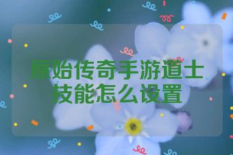 原始传奇手游道士技能怎么设置