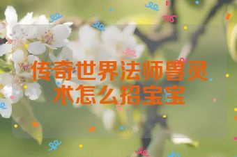 传奇世界法师兽灵术怎么招宝宝