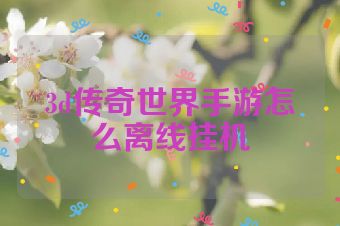 3d传奇世界手游怎么离线挂机