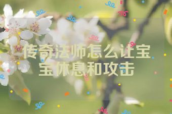 传奇法师怎么让宝宝休息和攻击