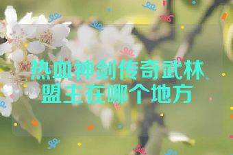 热血神剑传奇武林盟主在哪个地方