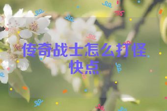 传奇战士怎么打怪快点