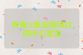 传奇22级法师可以招什么宝宝