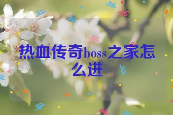 热血传奇boss之家怎么进