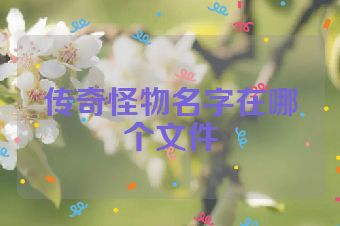 传奇怪物名字在哪个文件