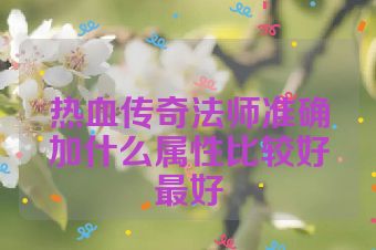 热血传奇法师准确加什么属性比较好最好