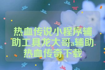 热血传说小程序辅助工具龙大哥a辅助热血传奇下载