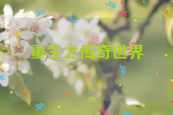 重生之传奇世界