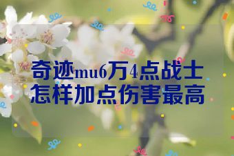奇迹mu6万4点战士怎样加点伤害最高