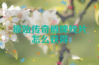 原始传奇盾牌残片怎么获得