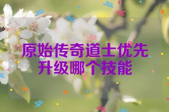 原始传奇道士优先升级哪个技能