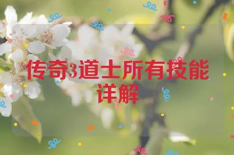 传奇3道士所有技能详解