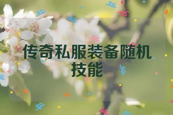 传奇私服装备随机技能