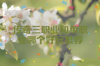 传奇三职业和单职业哪个好玩推荐