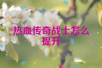 热血传奇战士怎么提升