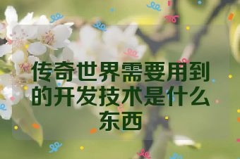 传奇世界需要用到的开发技术是什么东西