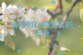 法师可以招宝宝的传奇