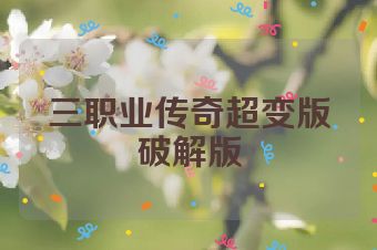 三职业传奇超变版破解版