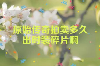 原始传奇拍卖多久出时装碎片啊
