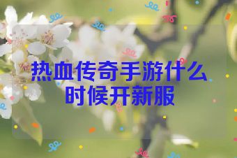 热血传奇手游什么时候开新服