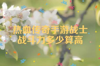 热血传奇手游战士战斗力多少算高