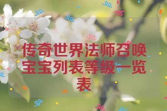 传奇世界法师召唤宝宝列表等级一览表