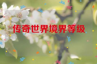 传奇世界境界等级