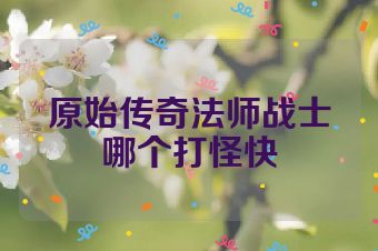 原始传奇法师战士哪个打怪快