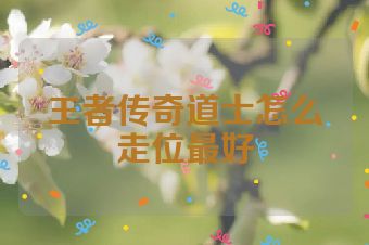 王者传奇道士怎么走位最好