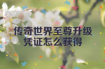 传奇世界至尊升级凭证怎么获得