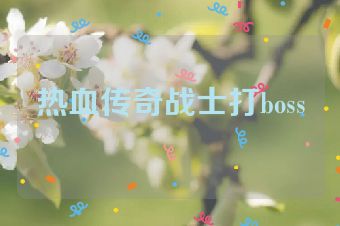 热血传奇战士打boss